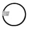 Bedford Precision Parts Bedford Precision Tank Lid Gasket, 2 Gallon, Stratoprene for DeVilbiss QMS-67 56-94 - alternate 1
